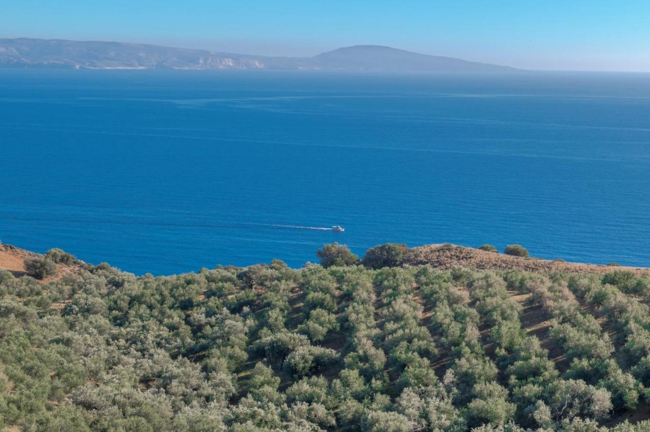 Tranquil Sea View Villa With Private Pool, Just 2Km From The Beach! アギア・ガリニ エクステリア 写真